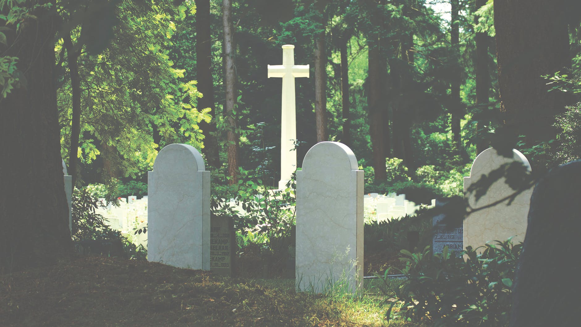 Wills and Probate